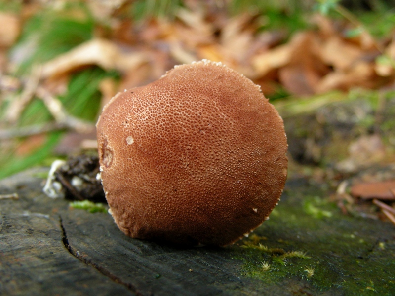 Escursione in riva al lago